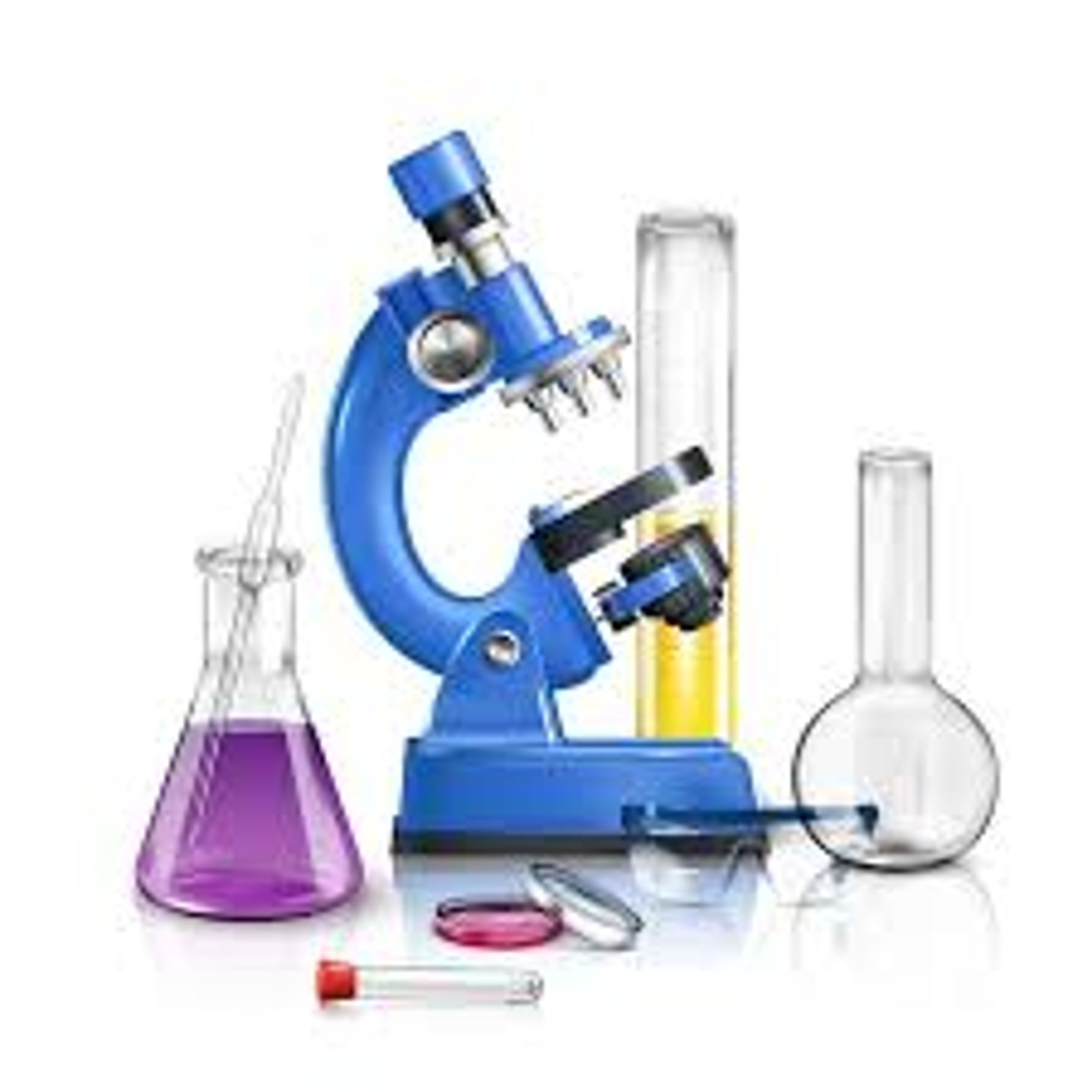 Science laboratory at The Royal Palace Druvataare College